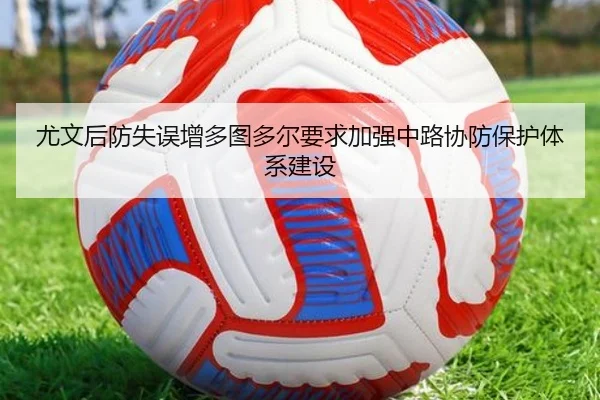 img_1783249971858_2251_0_782.jpg